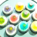 태금쿡클레스 이미지