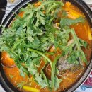 대신상회 | 노량진 수산시장 대방어 맛집 이레상회 탐방 후기!! (feat. 충남 식당)