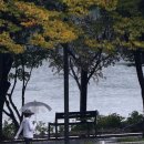 공지천 산책로 이미지