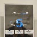 투브로우즈&셀스테틱 둔산점