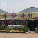 장미화원 | 토평동 꽃집 꽃배달 장미화원 위치.후기