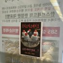 한솔동_첫마을5단지525동옆 | 세종 크리스마스 케이크 - 한스브레드 13,900원에 겟 + 후기