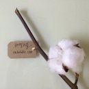 세젤마켓 이미지