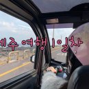 W699 이미지