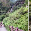 고종시마실길 이미지