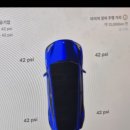 태양카센타 | [잠깐 정보/테슬라 타이어 공기압 PSI 42 가 딱 나오네] 권장공기압 나오는 요즘 날씨