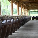 세이브존앞 이미지