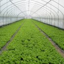 광일농장 이미지