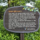 번데미공원 네이버블로그