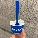 분당-30 | 막달검사 항목 시기 30주차 쌍둥이 임산부 분당서울대 후기