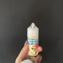 민트프랜트