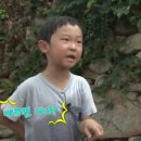 칡냉면땡기는날 이미지