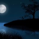 소나타피아노학원 이미지