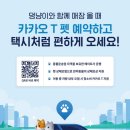 스퀘어독스 펫 이미지