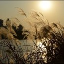 건축사사무소 소슬 이미지