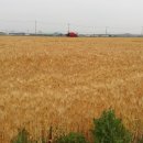 창신영농조합 이미지