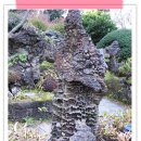 석부작박물관 이미지