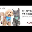 뷰티반려문화 이미지