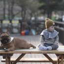 애견랜드 이미지