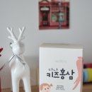 다나홍삼