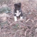 가장농장 이미지