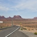 [AZ]Forrest Gump Point 이미지