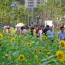 꽃동산어린이공원-2 이미지