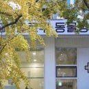 헬로우동물병원 이미지