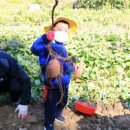 사계절농장 이미지