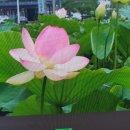 신나는 시니어 음악치료 이미지