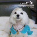 고마워 MIN 이미지