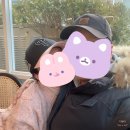 S034 | 보행자 교통사고 2달만에 조건부 합의한 후기 (ft. 현대해상 자동차보험)