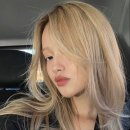 라우헤어 신세계힐
