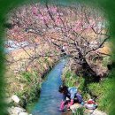 우리빨래터 이미지