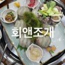 미성산오징어앤전 | 청주 봉명동 맛집 l 회앤조개 사시미 코스요리 석화 조개전골 현지인 후기