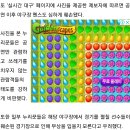 싸이 흠뻑쇼 이후 &#39;쓰레기장&#39; 된 대구 삼성라이온즈파크 이미지