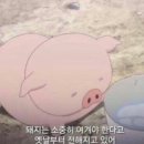 WEDDING #9 드레스투어 대신 지정방문! 리디아브라이드에서 스튜디오 촬영 가봉하고 왔습니다-