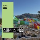 수락리버시티 시티플러스앞 | 덕산 스플라스 리솜 리조트 국내 리조트 추천