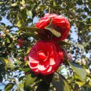 청해모텔 이미지