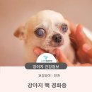 청학동물병원 이미지