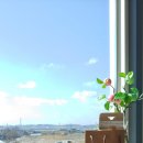 커피하우스117 이미지