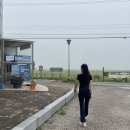 공룡의숨결 이미지