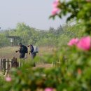 상동호수공원 이미지