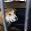 대부황금로 이미지