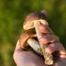 JKC 행정사 사무소 이미지