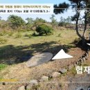 굿모닝제주공인중개사사무소 이미지