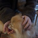 후추하우스 이미지