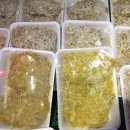 미리내축산 이미지