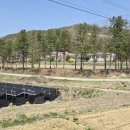 둔내초 영호분교장 이미지