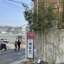 에끌라마마 조리원 연계 ‘더 베일리 스튜디오’ 만삭촬영 후 계약완료 후기